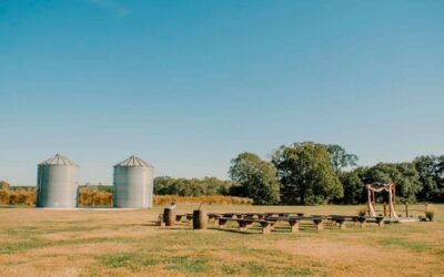 How to Choose the Perfect Wedding Date When Getting Married in Florida