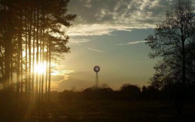 A Couple’s Guide to Wedding Venues Near Panama City, FL